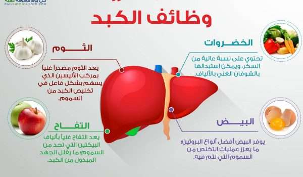  نصائح طبيه  .. - صفحة 73 الكبد